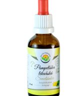 Salvia Paradise Pampeliška lékařská - tinktura bez ethanolu (50 ml)