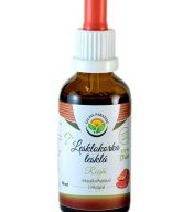 Salvia Paradise Lesklokorka lesklá - Reishi - tinktura bez ethanolu (50 ml)