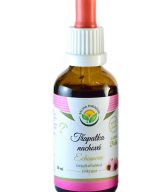 Salvia Paradise Echinacea - tinktura bez ethanolu (50 ml) - podporuje přirozenou imunitu